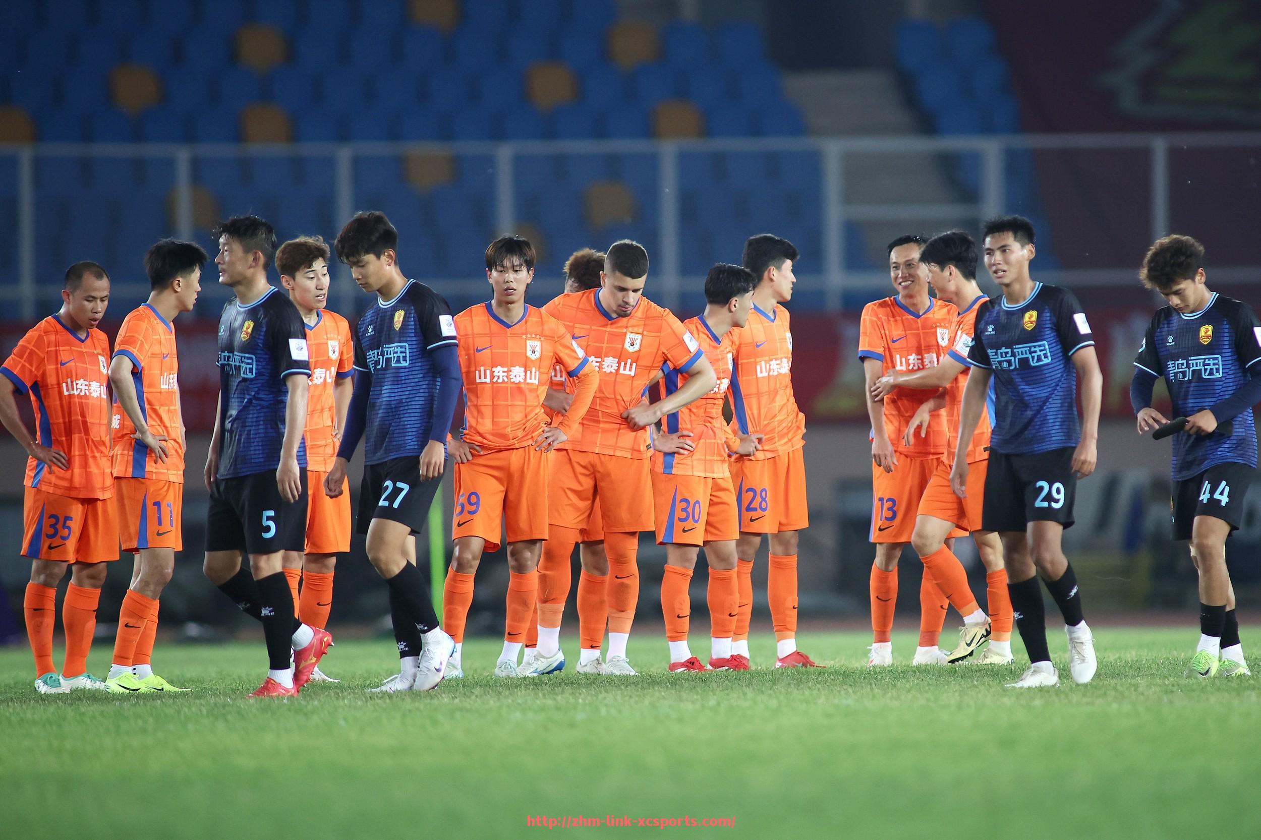 杏彩体育-法甲里昂俱乐部每年预算情况与支出结构