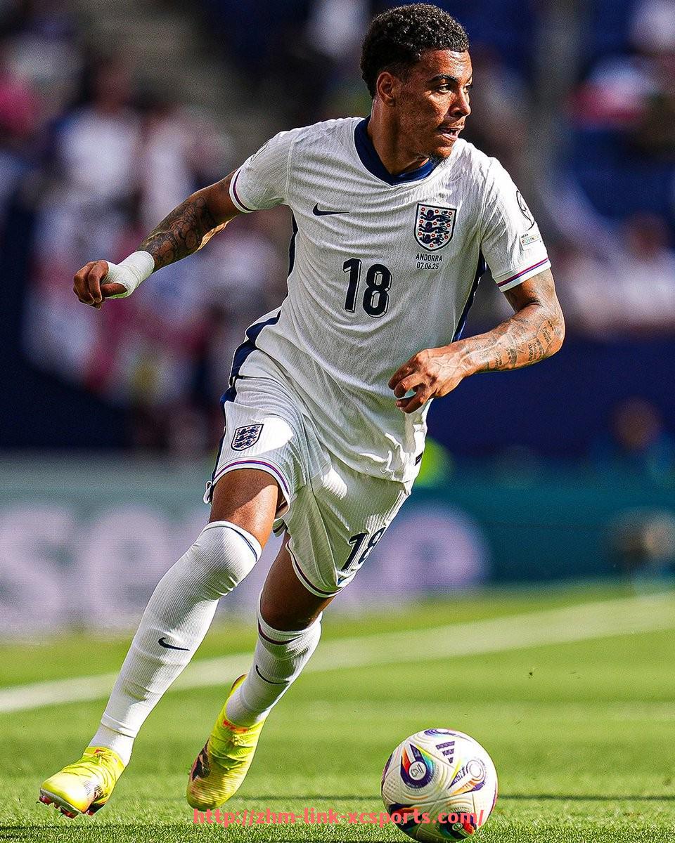 杏彩体育-帕特里克·贝弗利在火箭队的比赛精彩视频合集