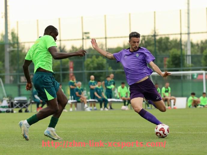 杏彩体育-英超球队的官方字体与标识